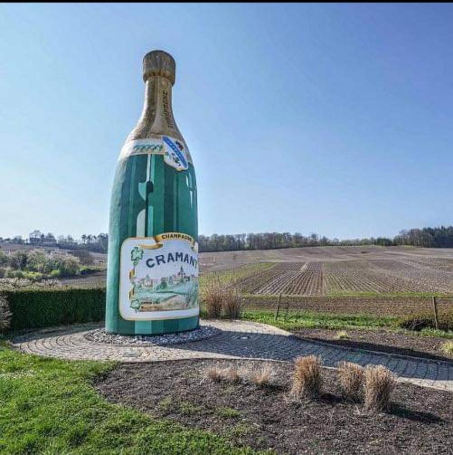 Gite En Champagne Le Sarment Cramant Екстериор снимка