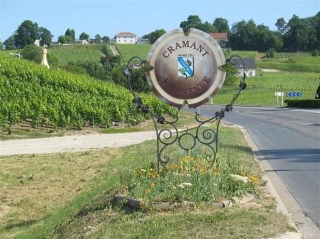 Gite En Champagne Le Sarment Cramant Екстериор снимка